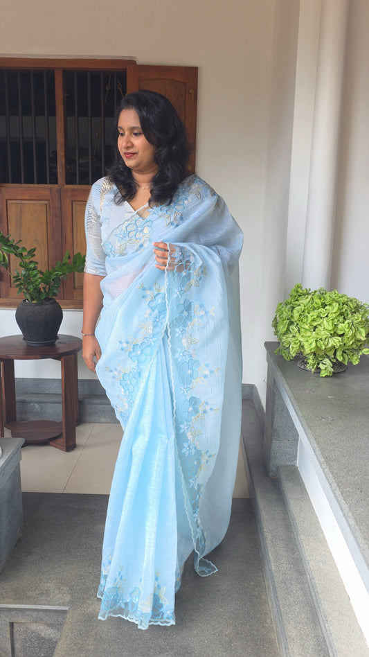 Crush organza net aplique saree CR28