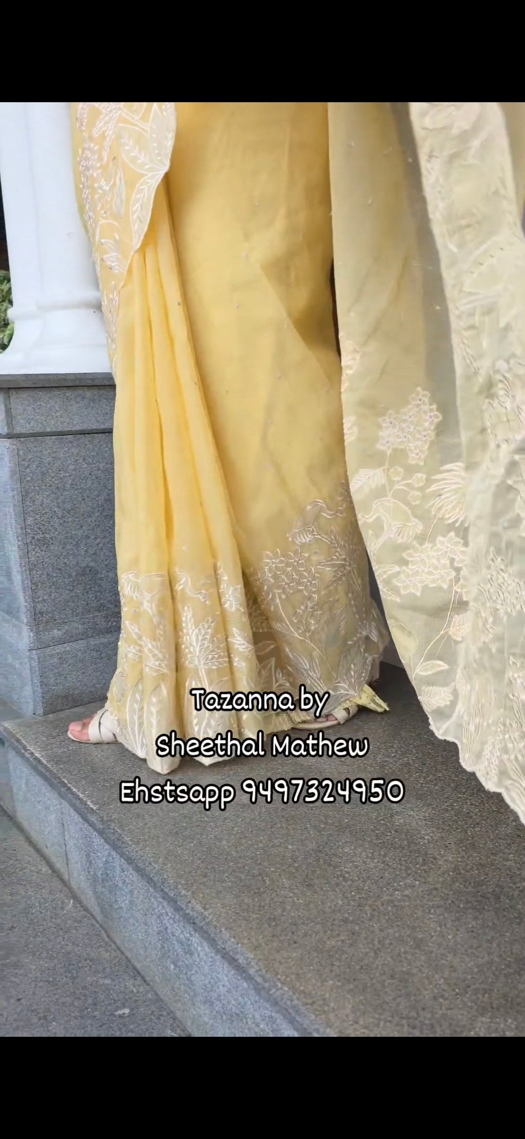 DOA2 georgette organza saree