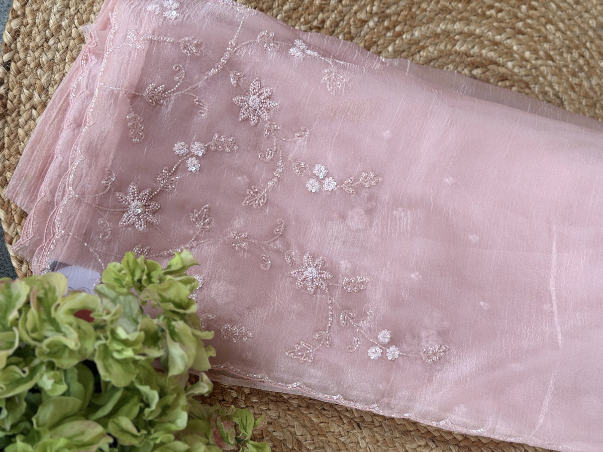 IMG_0534