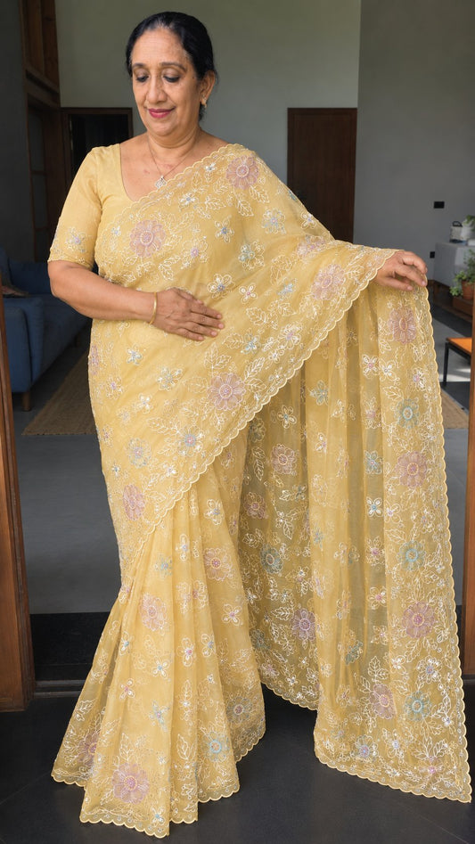 Tazanna saree file 14